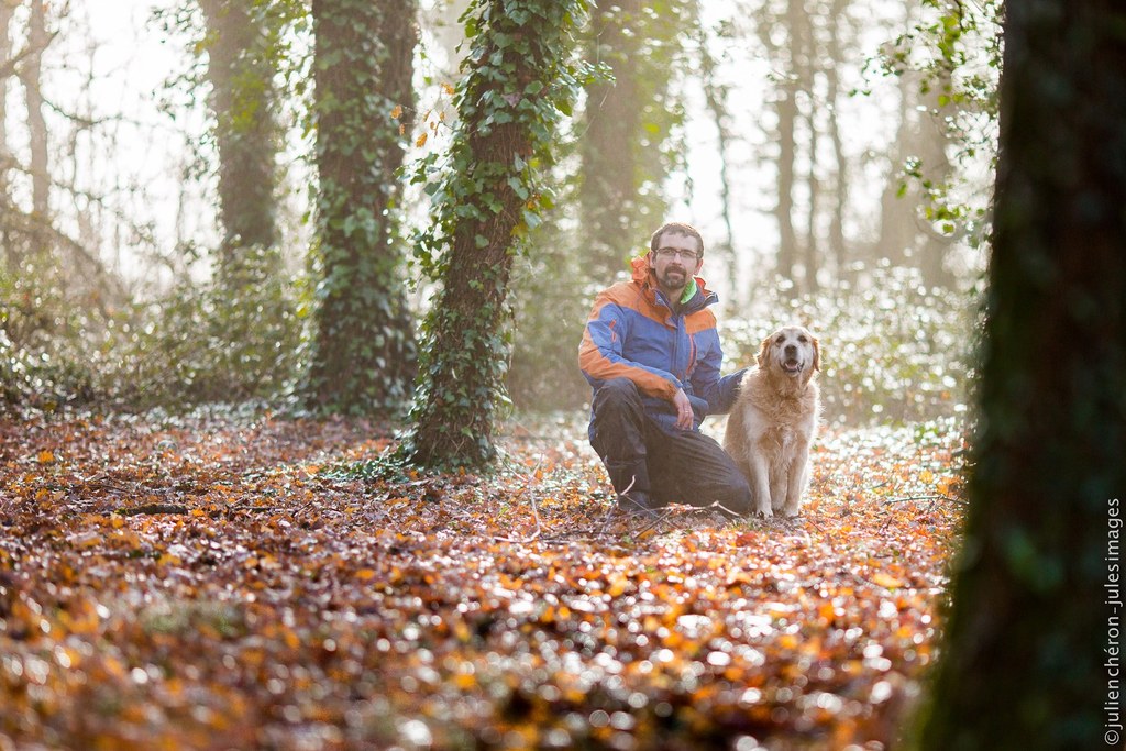 benoit copin et son chien golden dans la forêt