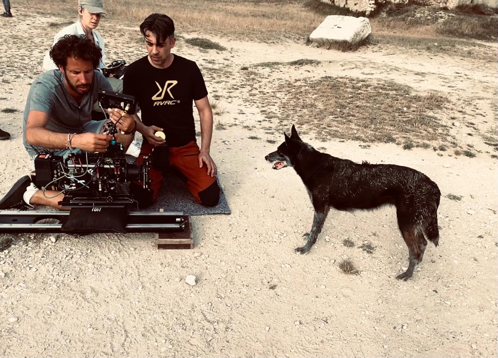 Chien sur un plateau de tournage avec une équipe cinéma, illustrant le travail d’un dresseur de chiens pour les films.